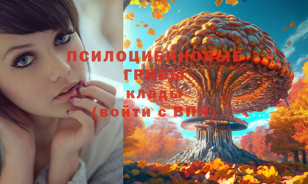 дмт Липки