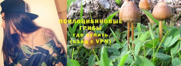 стафф Лихославль