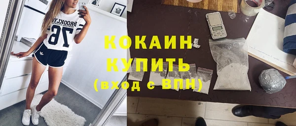 гидра Лиски